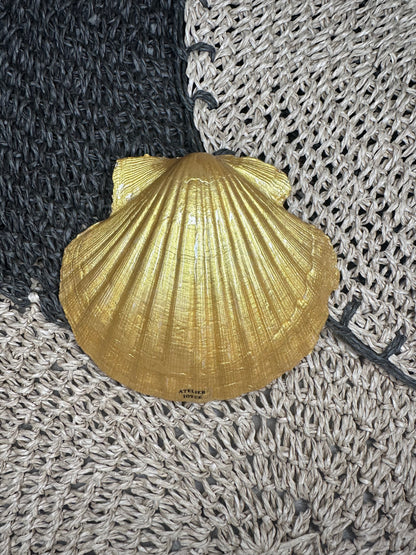Coquille Anouchka